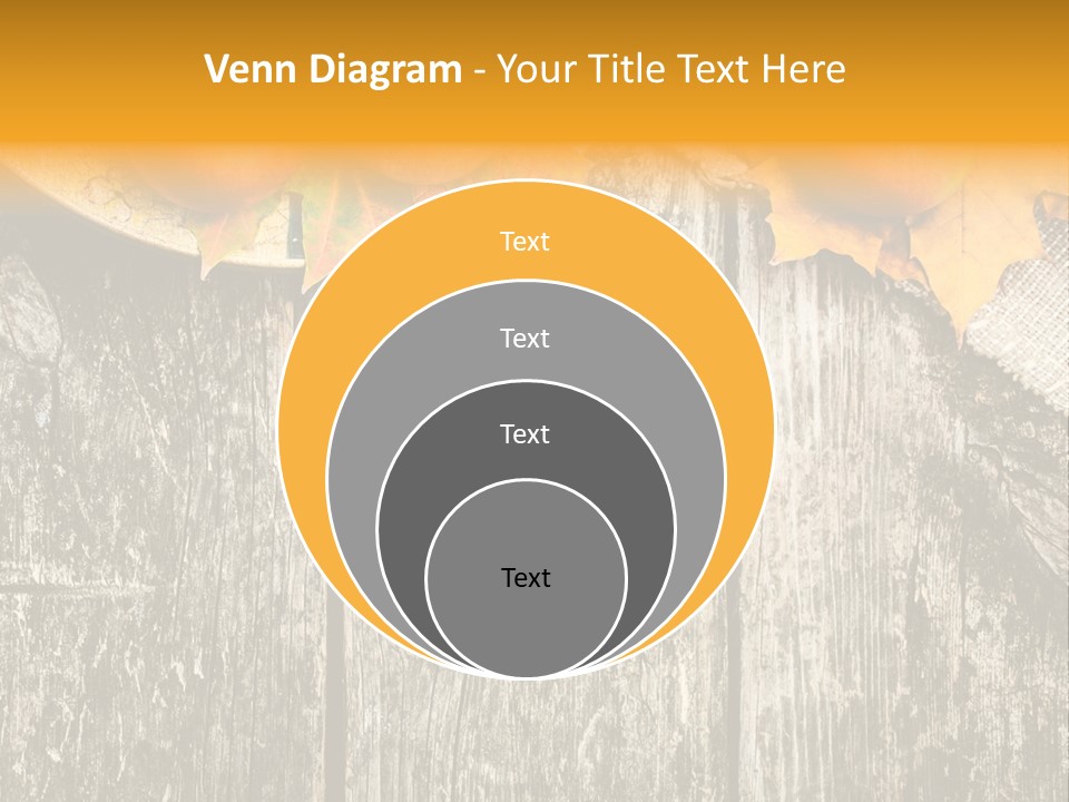 Design Sacking Rich PowerPoint Template