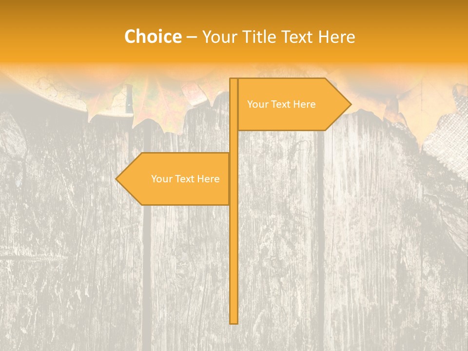 Design Sacking Rich PowerPoint Template