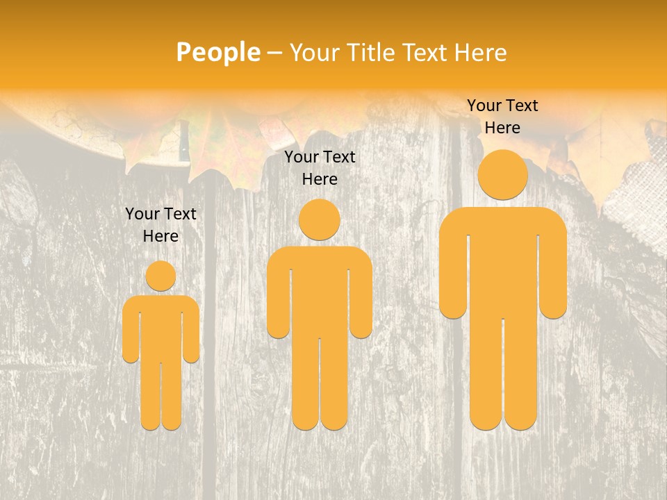 Design Sacking Rich PowerPoint Template