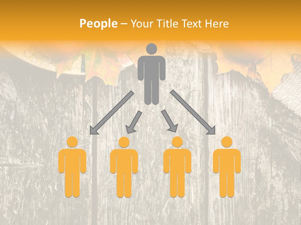 Design Sacking Rich PowerPoint Template