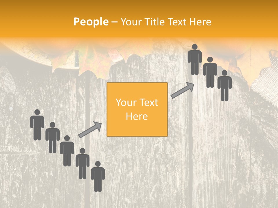 Design Sacking Rich PowerPoint Template