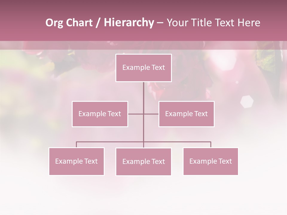 Office Management Corporation PowerPoint Template