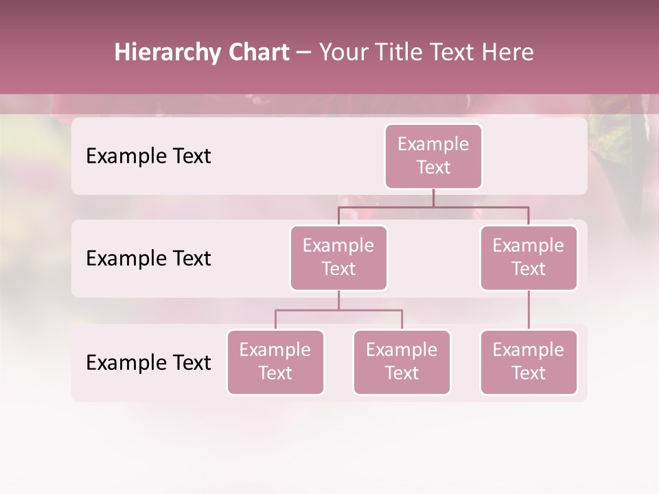 Office Management Corporation PowerPoint Template