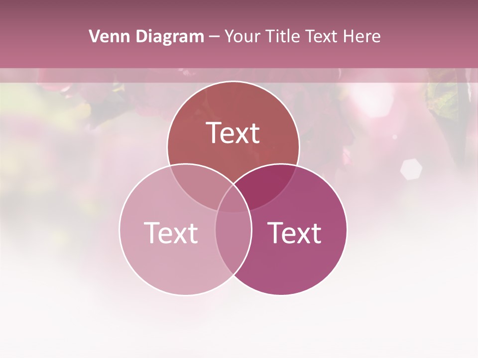 Office Management Corporation PowerPoint Template