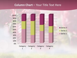 Room Office Conference PowerPoint Template