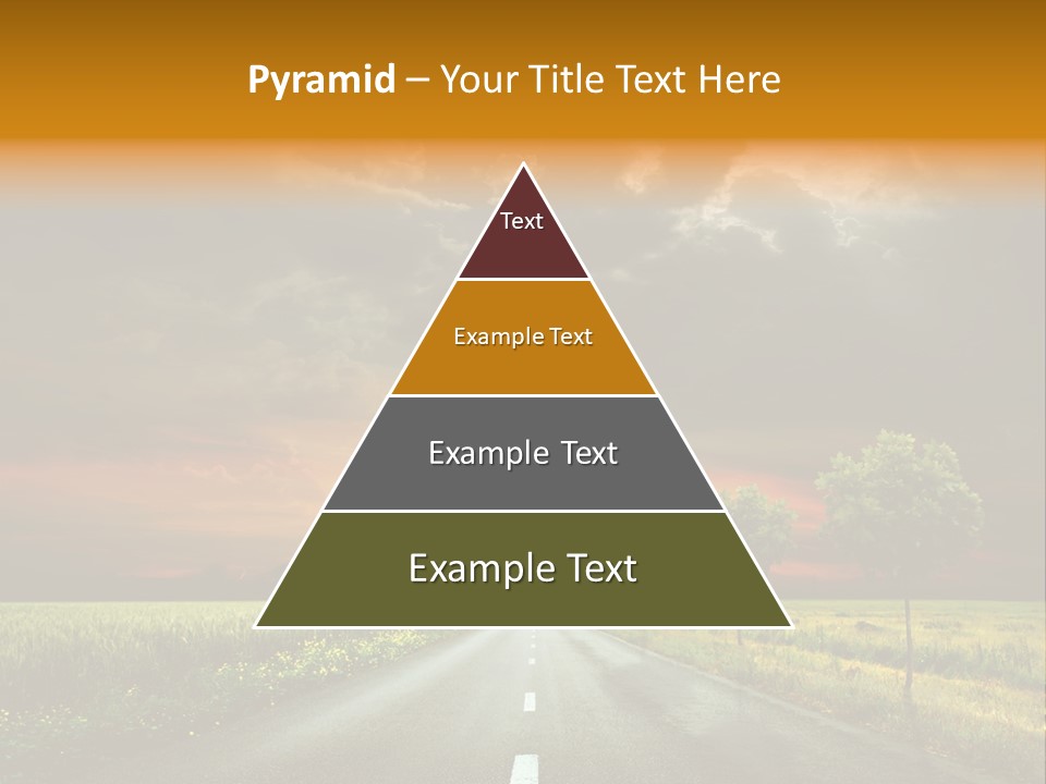 Sunlight Grass Sunny PowerPoint Template