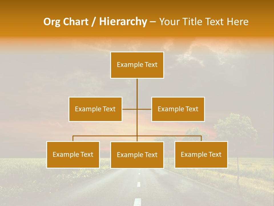 Sunlight Grass Sunny PowerPoint Template