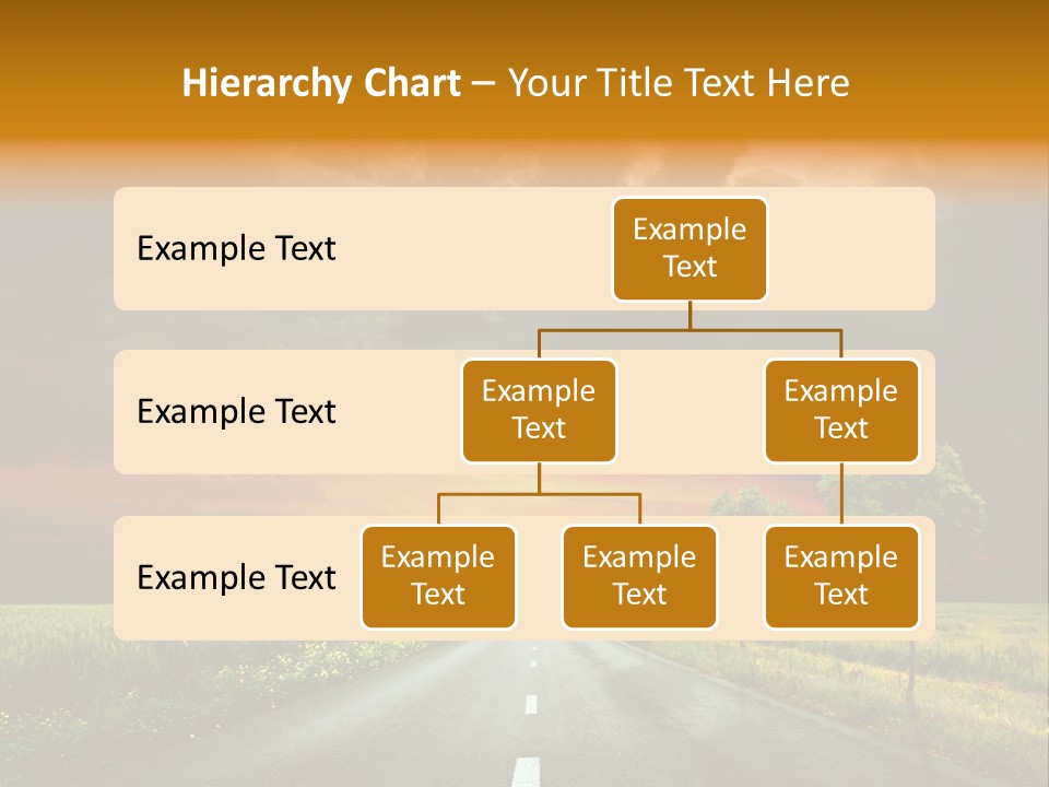 Sunlight Grass Sunny PowerPoint Template