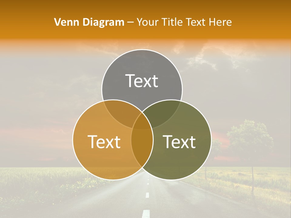 Sunlight Grass Sunny PowerPoint Template