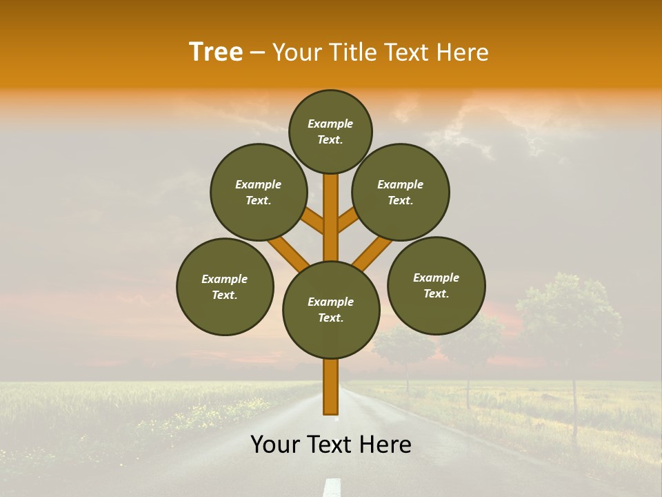 Sunlight Grass Sunny PowerPoint Template