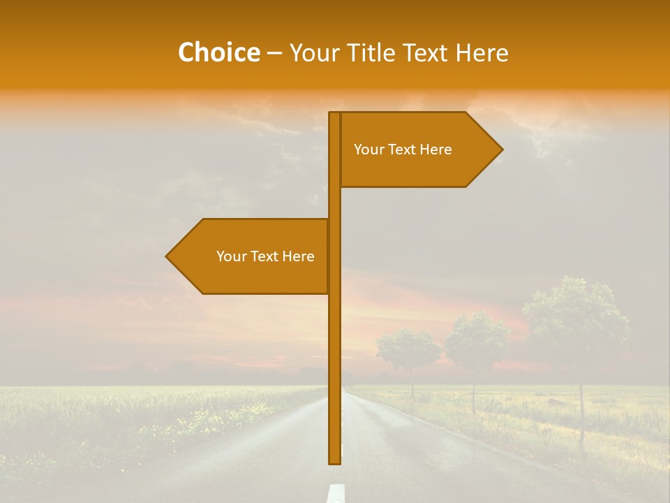 Sunlight Grass Sunny PowerPoint Template