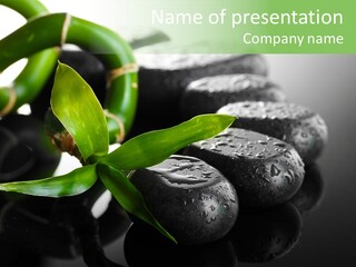 Traditional Grey Drops PowerPoint Template