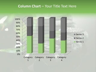 Traditional Grey Drops PowerPoint Template