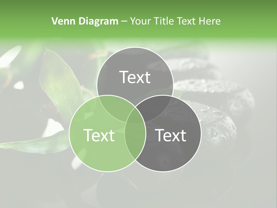 Traditional Grey Drops PowerPoint Template