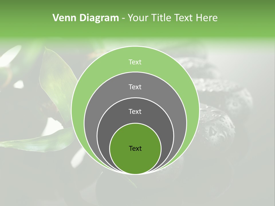 Traditional Grey Drops PowerPoint Template