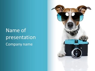 Photograph Photography Shot PowerPoint Template