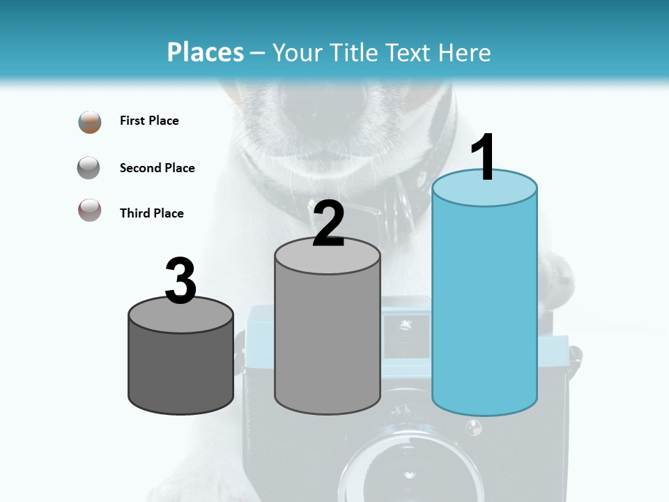 Photograph Photography Shot PowerPoint Template