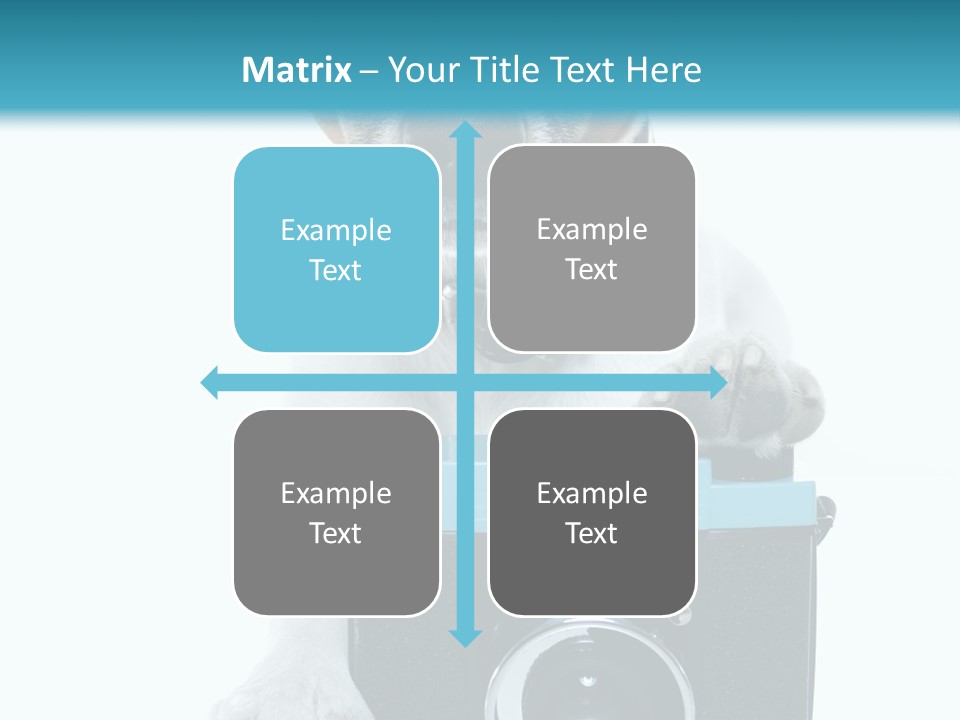 Photograph Photography Shot PowerPoint Template