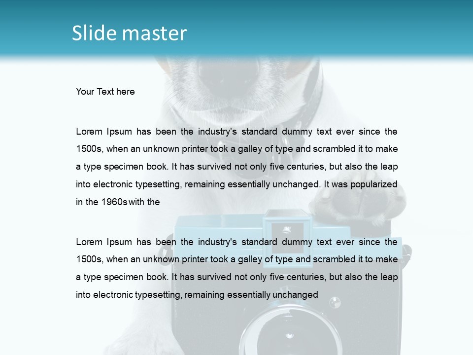 Photograph Photography Shot PowerPoint Template
