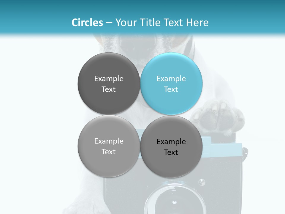 Photograph Photography Shot PowerPoint Template