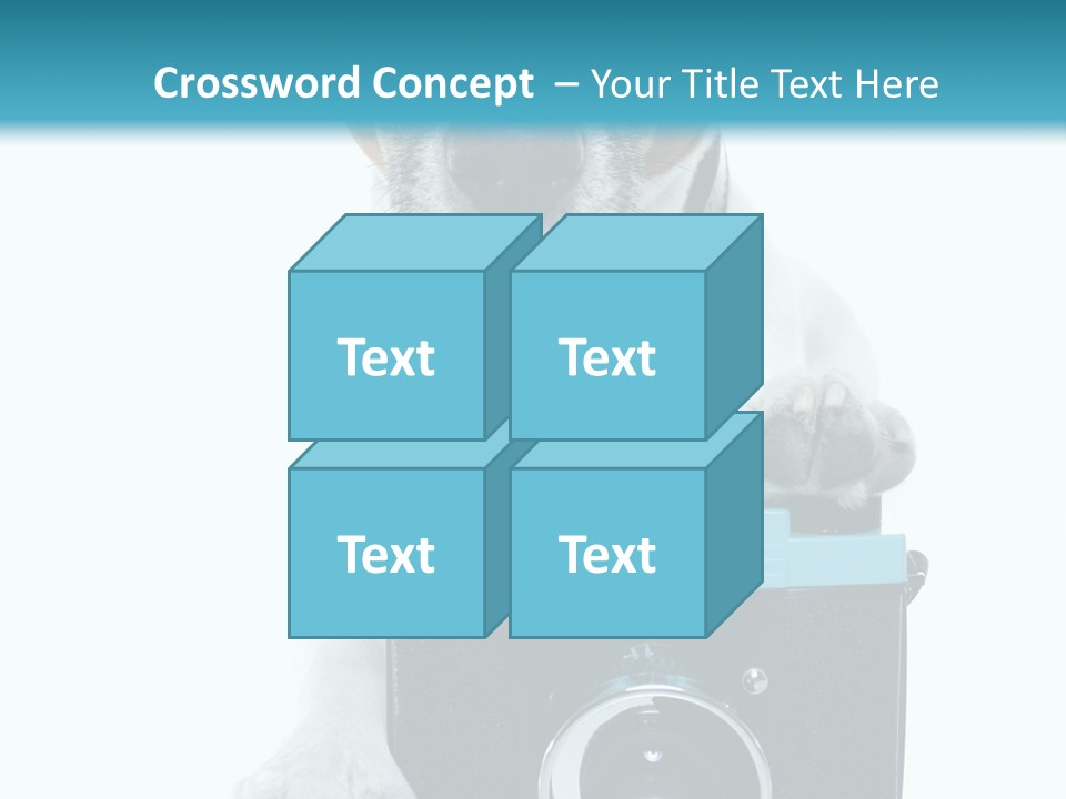 Photograph Photography Shot PowerPoint Template
