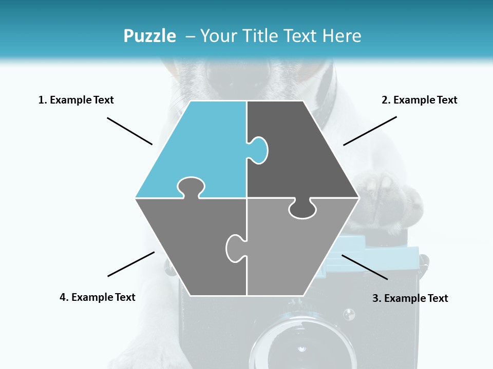 Photograph Photography Shot PowerPoint Template