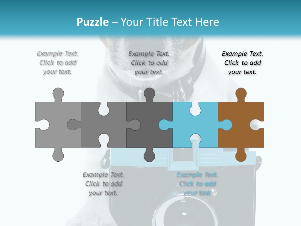 Photograph Photography Shot PowerPoint Template