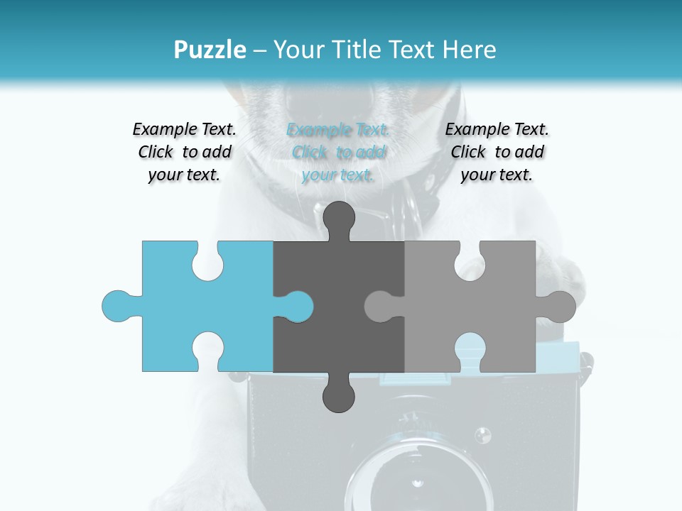 Photograph Photography Shot PowerPoint Template