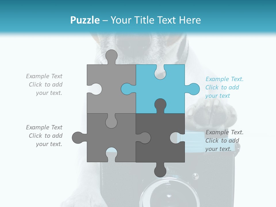 Photograph Photography Shot PowerPoint Template