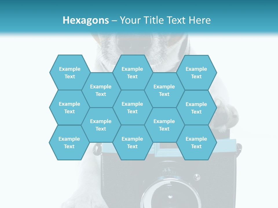 Photograph Photography Shot PowerPoint Template