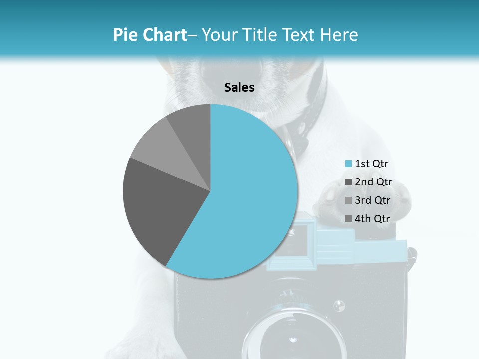 Photograph Photography Shot PowerPoint Template