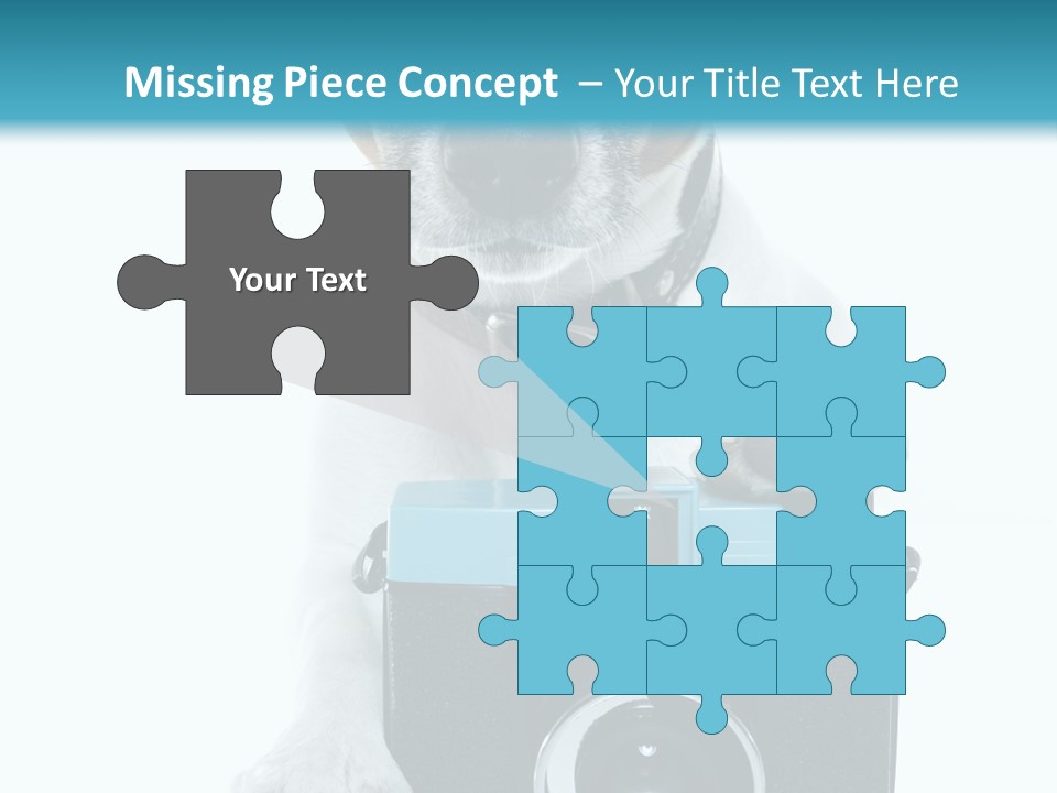 Photograph Photography Shot PowerPoint Template