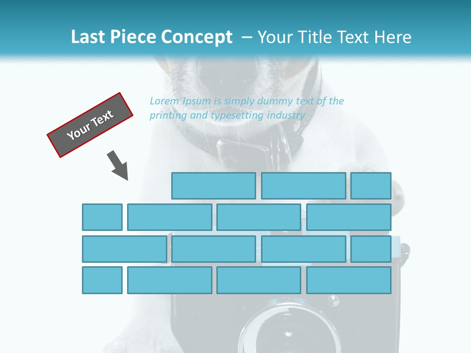 Photograph Photography Shot PowerPoint Template