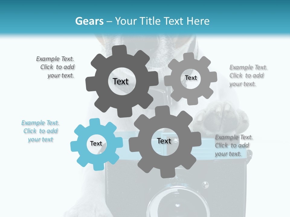 Photograph Photography Shot PowerPoint Template