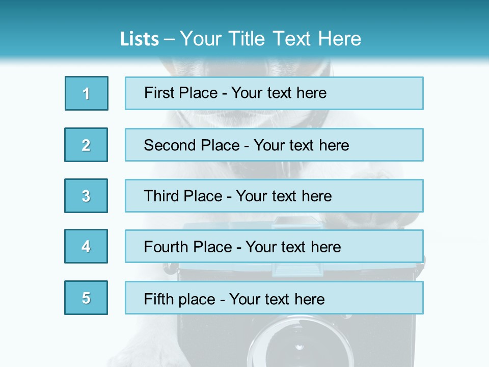 Photograph Photography Shot PowerPoint Template