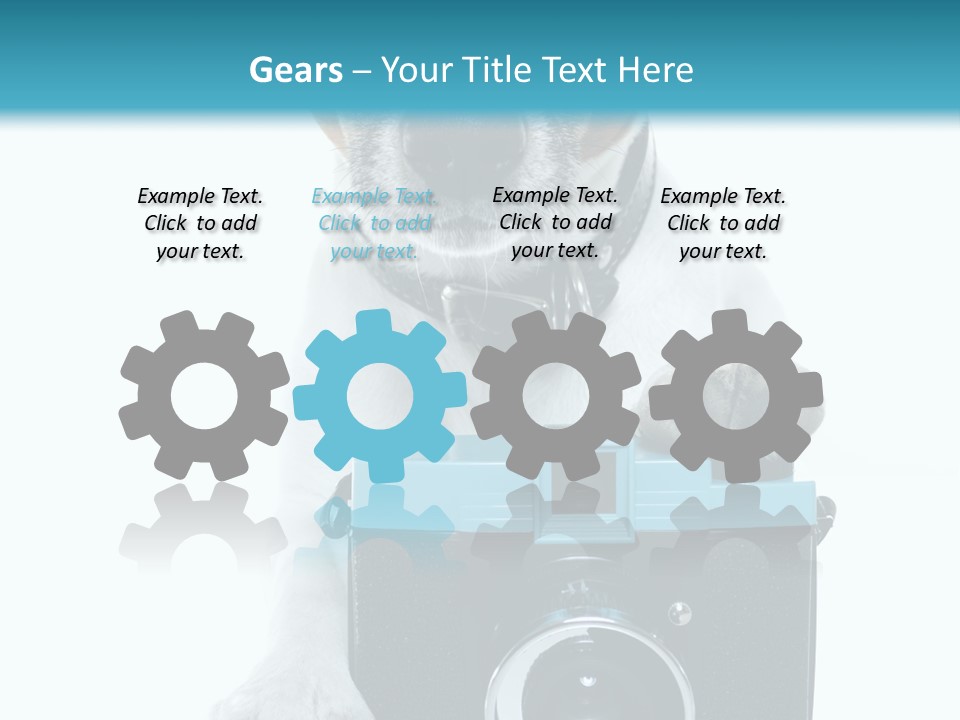 Photograph Photography Shot PowerPoint Template