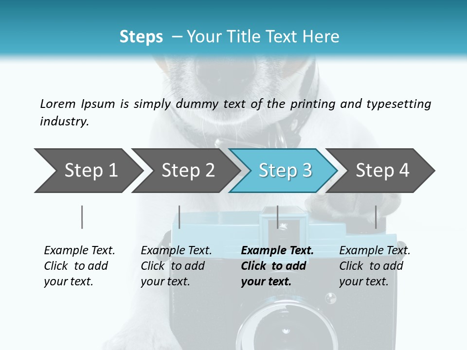 Photograph Photography Shot PowerPoint Template