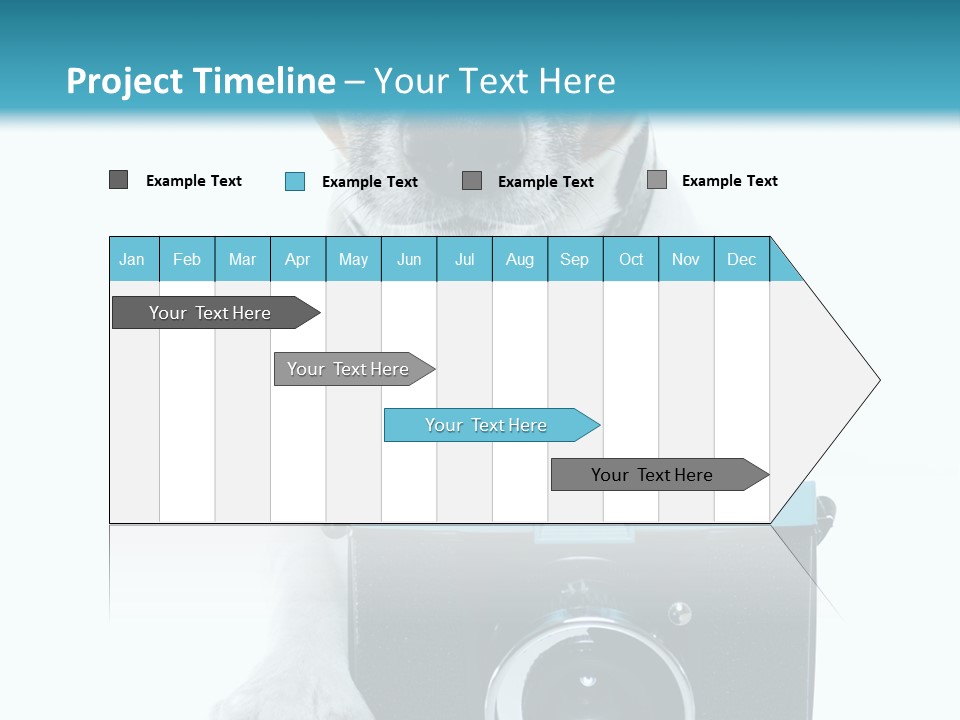 Photograph Photography Shot PowerPoint Template