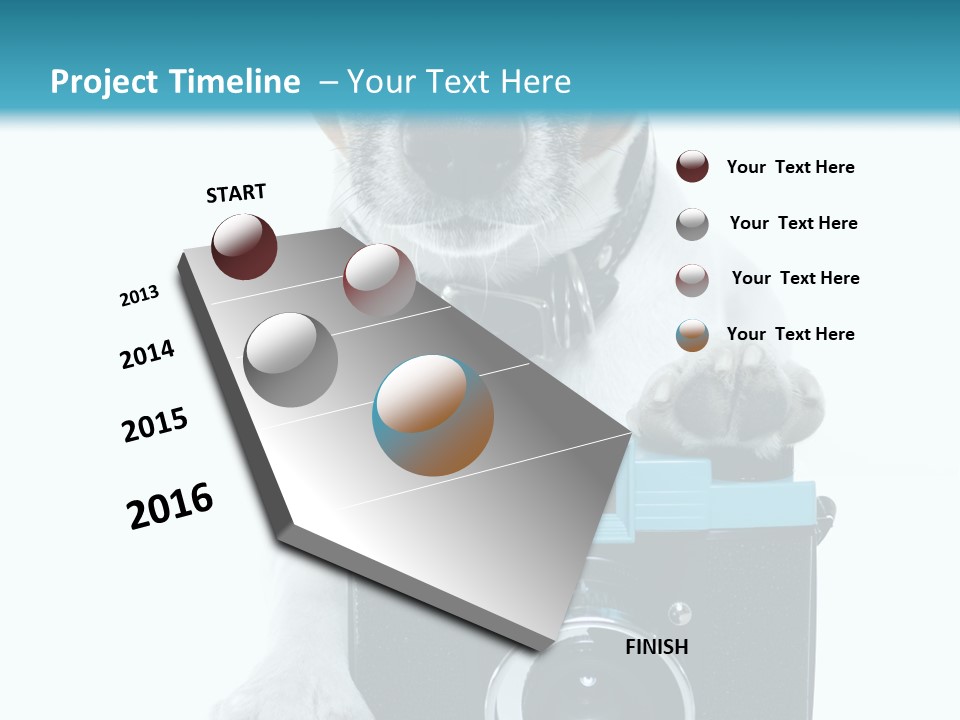 Photograph Photography Shot PowerPoint Template