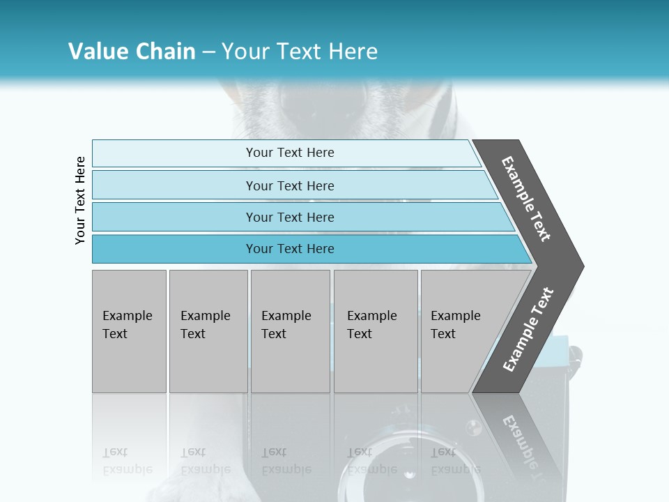 Photograph Photography Shot PowerPoint Template