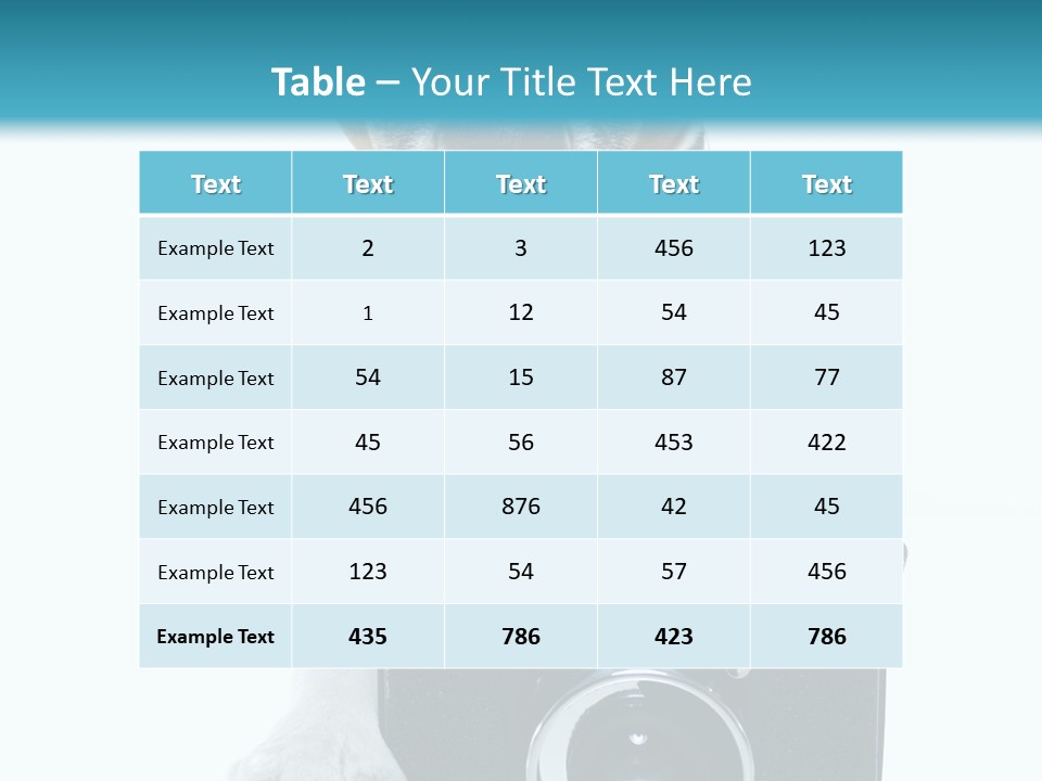 Photograph Photography Shot PowerPoint Template