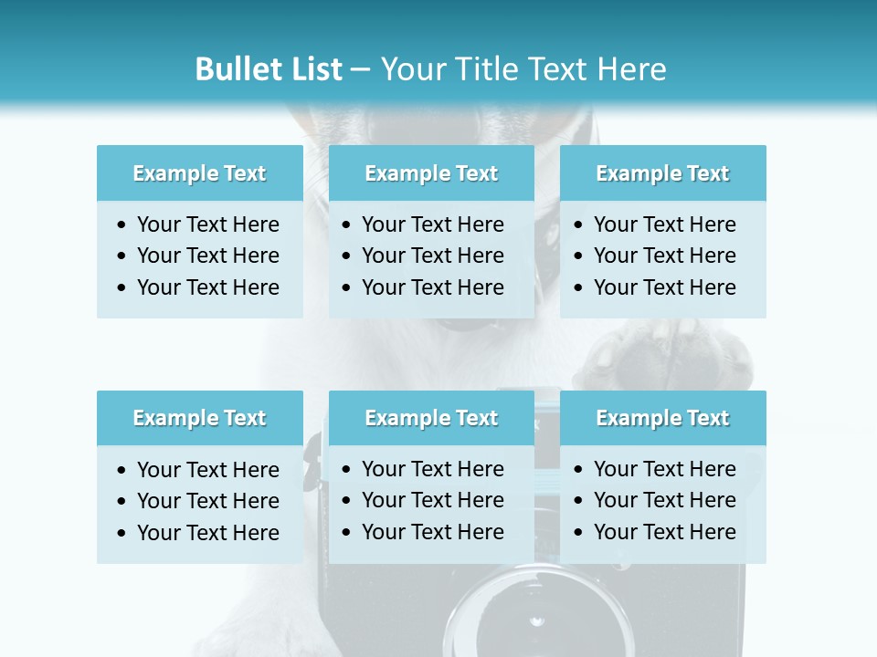 Photograph Photography Shot PowerPoint Template