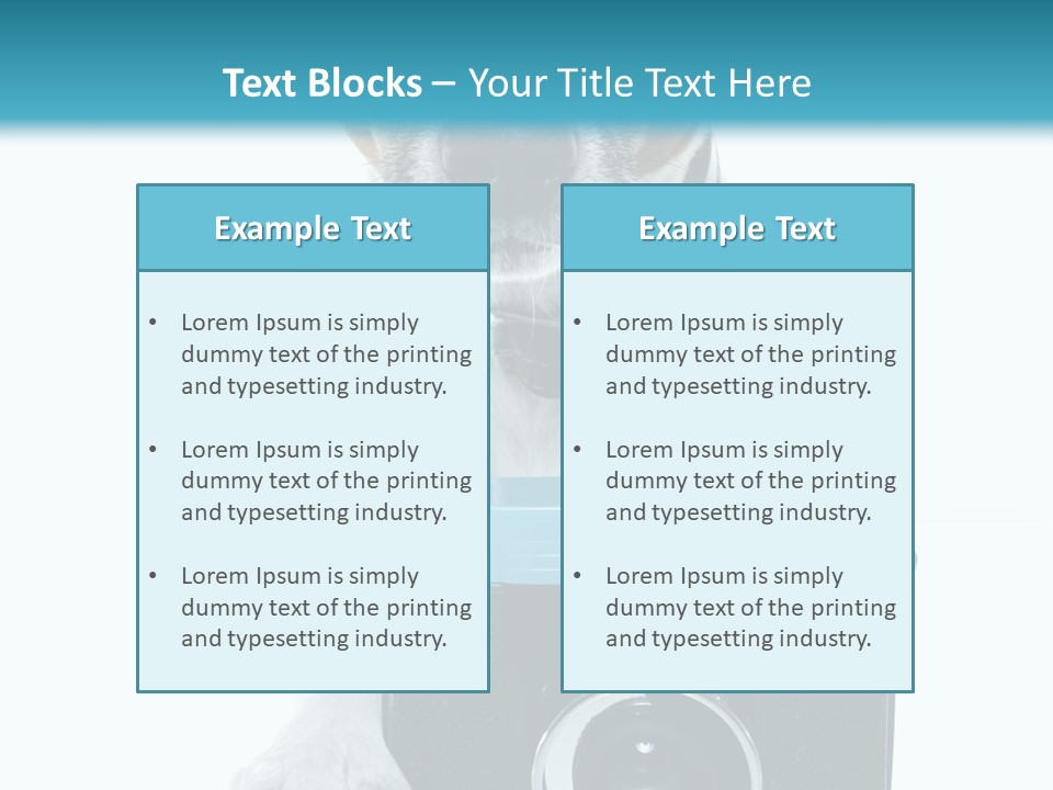 Photograph Photography Shot PowerPoint Template