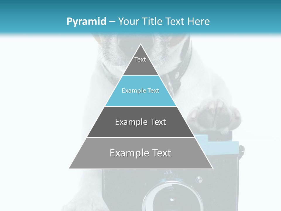 Photograph Photography Shot PowerPoint Template