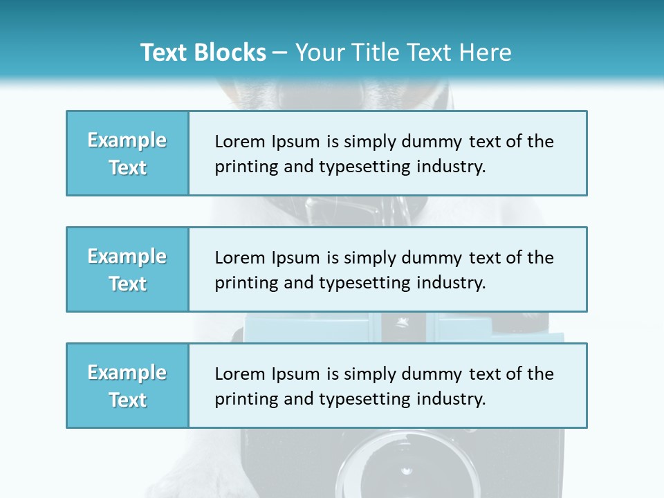 Photograph Photography Shot PowerPoint Template