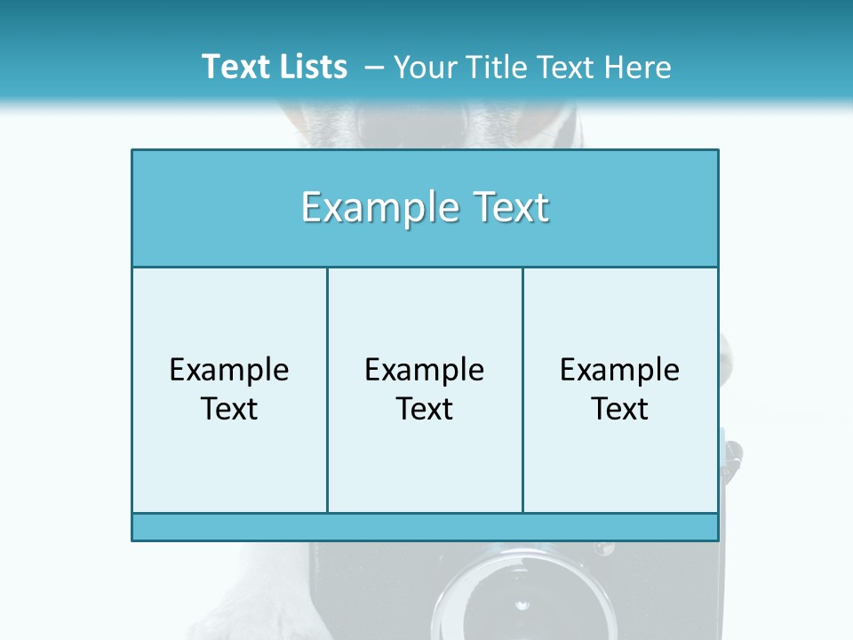 Photograph Photography Shot PowerPoint Template