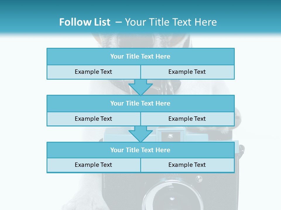 Photograph Photography Shot PowerPoint Template