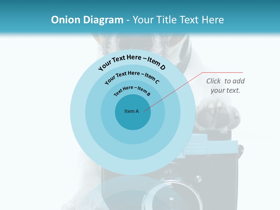 Photograph Photography Shot PowerPoint Template