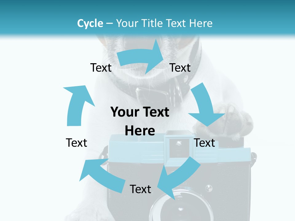 Photograph Photography Shot PowerPoint Template