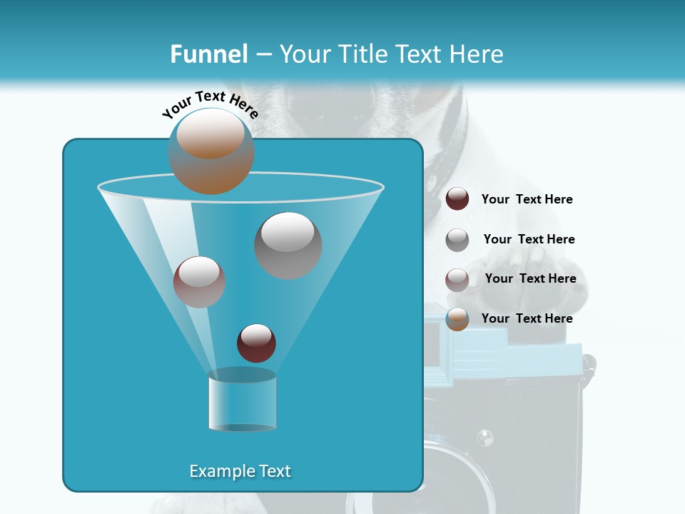 Photograph Photography Shot PowerPoint Template